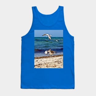 Seagulls screaming Tank Top